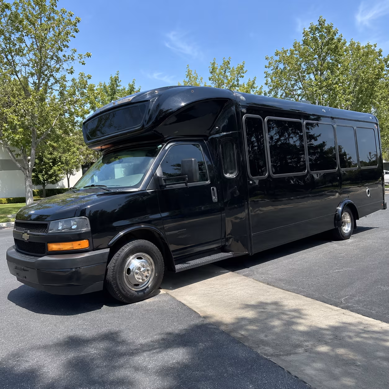 lake havasu city 15 passenger party bus