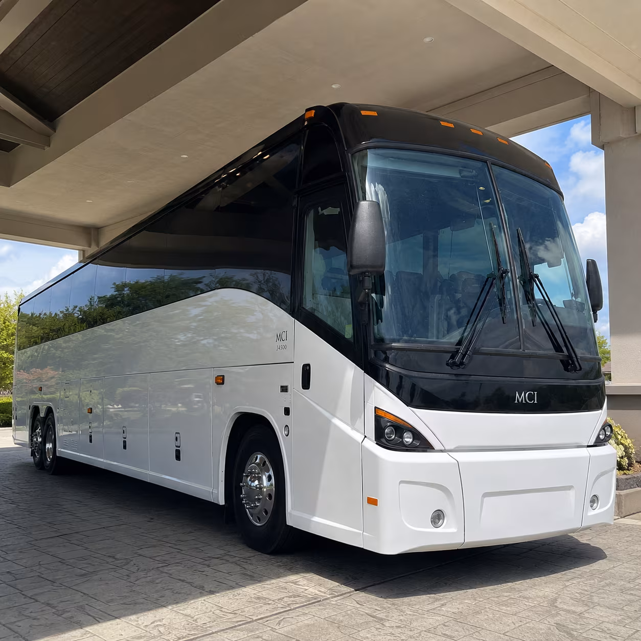 spring break groups fly in from everywhere book your transfer early